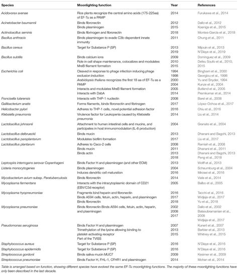 Frontiers The Diverse Functional Roles Of Elongation Factor Tu Ef Tu