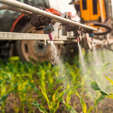 Crop And Hail Insurance Protect Your Agribusiness Bremer Bank