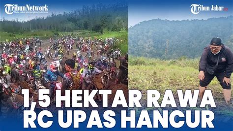 1 5 Hektar Rawa Ranca Upas Yang Ditumbuhi Bunga Abadi Hancur Digilas