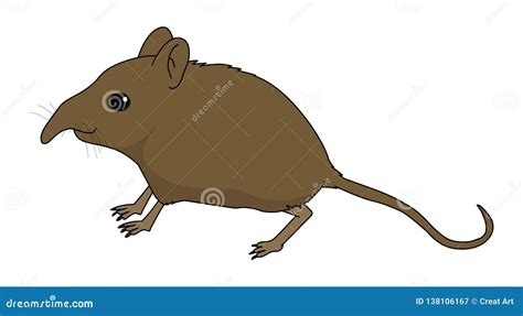 Etruscan Shrew Illustration Vector Stock Vector - Illustration of animal, etruscan: 138106167