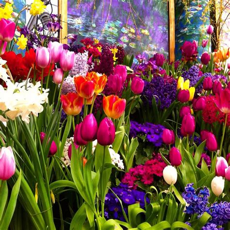 Monet Inspired Bulb Show At Smith College Botanical Garden