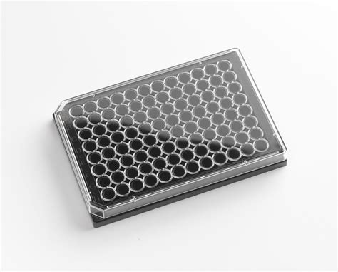 Assay Plate 96 Well Azenta Life Sciences, 55% OFF