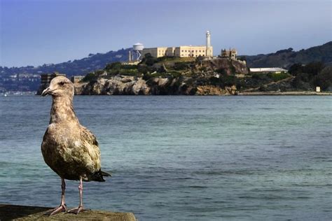 2023 Alcatraz Island Night Tour