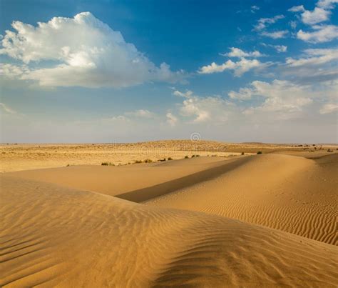 Dunes Of Thar Desert Rajasthan India Stock Photo Image Of