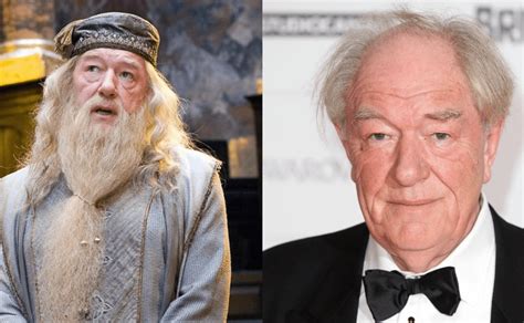 De Qu Muri Michael Gambon El Actor Que Interpreta Dumbledore De