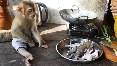 Mamoo Orderly Sit Looking M0m Cooking Frog For Dinner Youtube