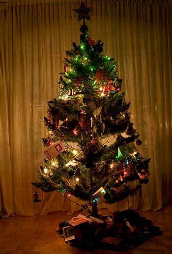 Christmas tree photography - Photo podcast #34 | Photography.ca