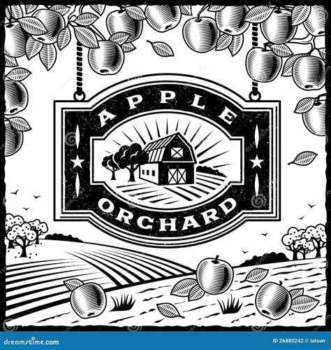 Apple Orchard Black And White Stock Vector Illustration Of Black