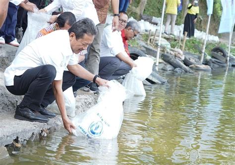 Wakil Rektor Bersama Menteri Kkp Dan Dekan Fpik Melakukan Tebar Benih