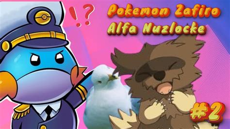 Pokemon Zafiro Alfa Nuzlocke Ep Formando El Equipo Youtube