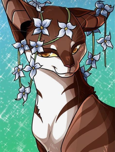 Leafpool Warrior Cats Fan Art Warrior Cats Art Warrior Cat Drawings