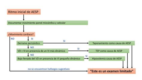 Paro cardiorespiratorio o Shock profundo Actividad eléctrica sin