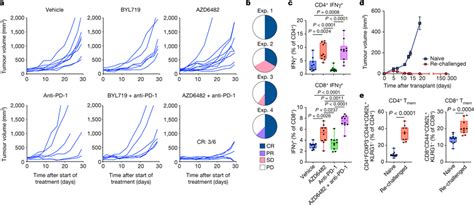 Combined Pi3kβ Inhibition And Pd 1 Blockade Synergize To Inhibit The Download Scientific