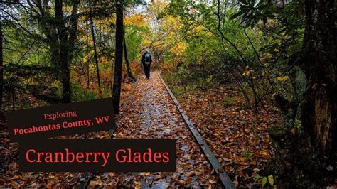 Cranberry Glades Pocahontas County WV YouTube