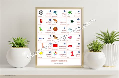 Tamil Alphabet Chart Vowels And Consonants With Color Pictures Nbkomputer