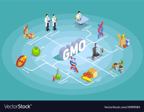 Genetically Modified Organisms Isometric Flowchart