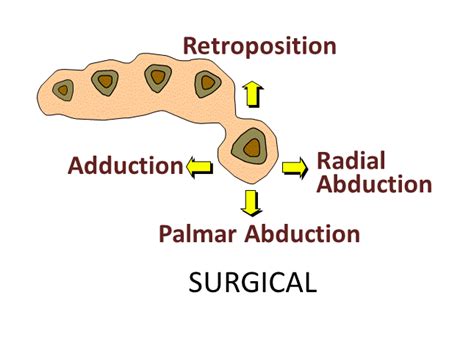 Thumb Terminology Confusion