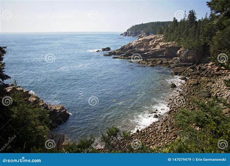 Ocean Path Cliff Acadia National Park Bar Harbor Maine Stock Image