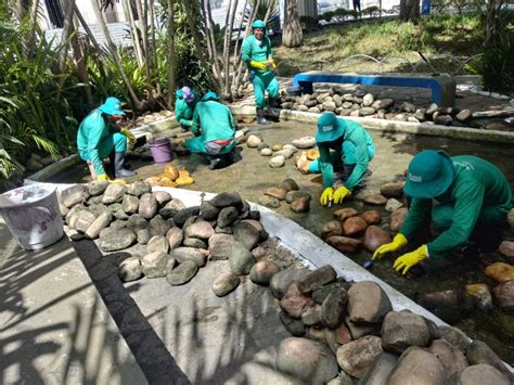 Secretaria Do Meio Ambiente Inicia Limpeza Dos Lagos Da Praça Tancredo