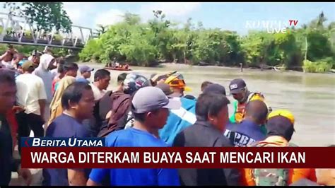 Naas Warga Di Sulbar Tewas Diterkam Buaya Saat Mencari Ikan Di Muara