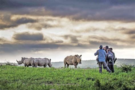 South Africa Rhino Conservation: Lodges Making a Difference