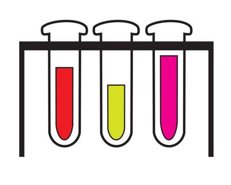 120 Empty Test Tube Rack Stock Illustrations Royalty Free Vector