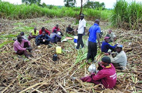 GAWU Stands With Oppressed Working Class Citizens Guyana Times