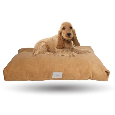 Tommy Elegance Arancione Ligo Cucce Per Cani Artigianali