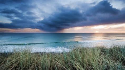 Online Crop Green Grass Near Seashore Nature Photography Sea Nature Grass Waves Hd