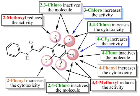 Summarization Of Structure Activity Relationship Sar Analysis For The