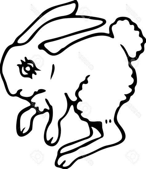 Bunny Rabbit Drawing At Getdrawings Free Download