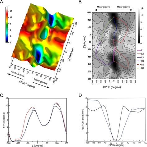 A Free energy landscape as a function of CPDb and χ angles in