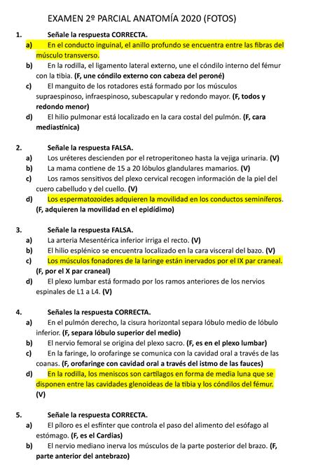 Examen 2º Parcial Anatomía 2020 EXAMEN 2º PARCIAL ANATOMÍA 2020