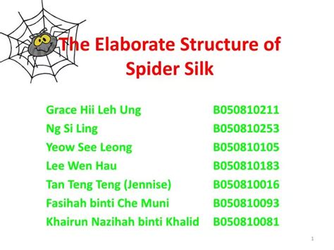 Ppt The Elaborate Structure Of Spider Silk Powerpoint Presentation