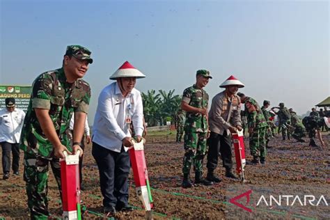 Pemkab Bekasi TNI AD Kolaborasi Tanam Jagung Jaga Ketahanan Pangan