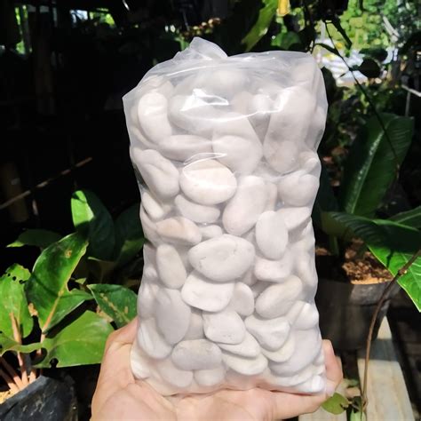 Jual Batu Coral A1 Putih 1 Kg Batu Taman Batu Hias Shopee Indonesia