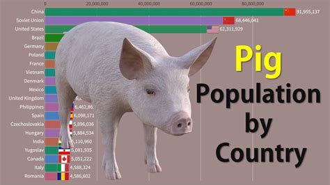 Pig Population By Country In The World YouTube