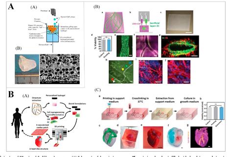 Figure 1 From Progress In 3D Bioprinting Technology For Tissue Organ