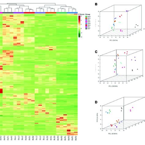 Heat Map Of Hca And Pca Of The Relative Differences In The Metabolite