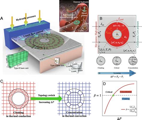 Tunable Liquidsolid Hybrid Thermal Metamaterials With A Topology