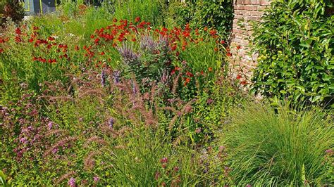 elegrass Artenvielfalt zeigt das neue Grün Gabot de