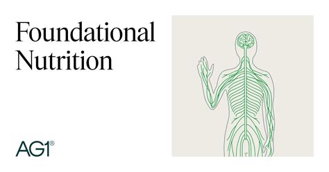 Foundational Nutrition Education | AG1® 