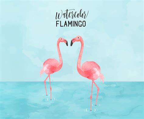 Watercolor Flamingo Couple Vector Illustration Vector Art And Graphics