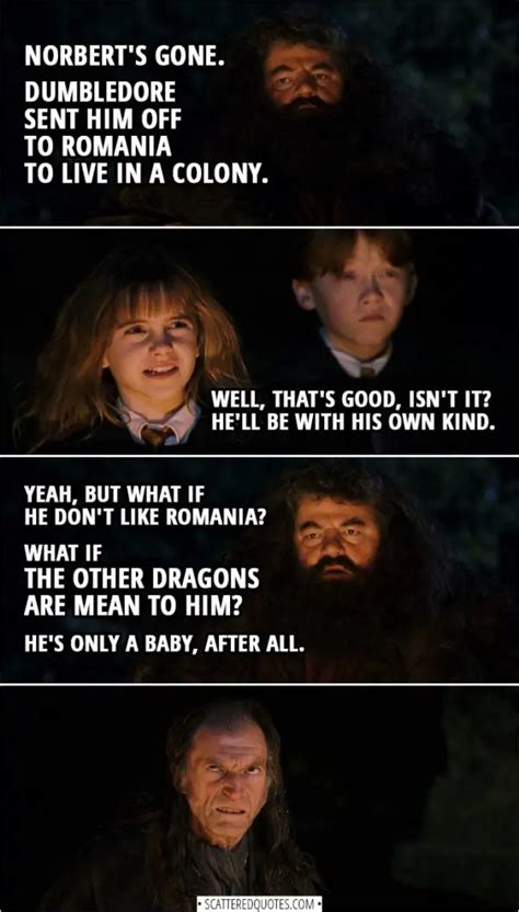 10+ Best 'Rubeus Hagrid' Quotes | Scattered Quotes