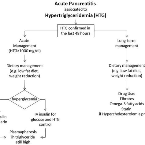 Overview Of Management Of Hypertriglyceridemia Download Scientific