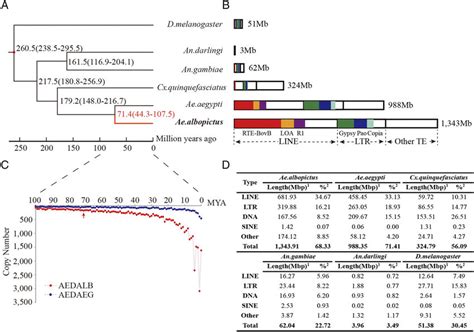 Comparative Analyses Of The Ae Albopictus Genome A Phylogeny And