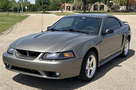 Cobra Mustang 2001