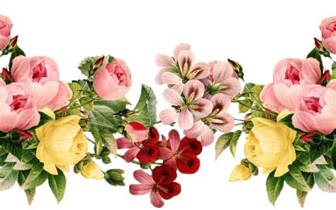 Mothers Day Flowers Png