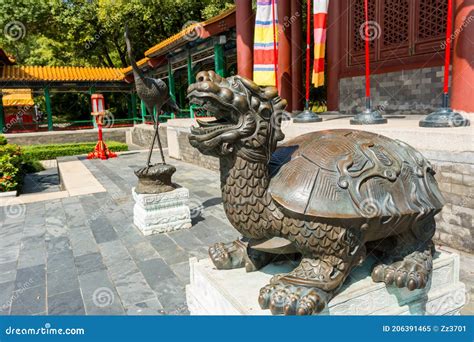 Bronze Tortoise On Colored Gravel Royalty Free Stock Photography