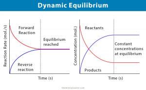 Dynamic Equilibrium: Definition and Examples